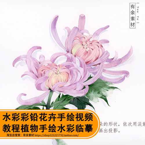 水彩植物素材价格 水彩植物素材图片 星期三