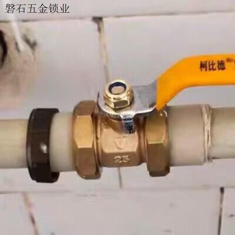 全塑球阀全铜PPR双头双活接内丝热熔管6分25快接活接管件配件水.