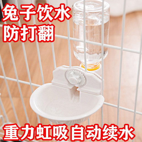 兔子专用饮水器挂式水壶防打翻水