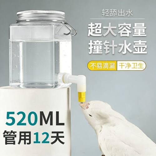 芦丁鸡撞针水壶撞针饮水器鹦鹉鸟类水杯360度出水芙蓉八哥珍珠鸟