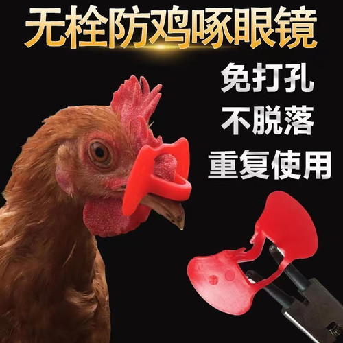 鸡眼镜无栓免打孔鸡眼镜防啄打架无栓新型不穿鼻孔大号中号鸡眼罩