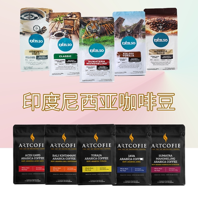 印尼原装进口阿拉比卡罗布斯塔曼特宁巴厘岛亚齐伽佑TORAJA咖啡豆
