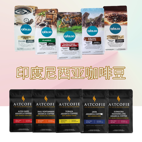 印尼原装进口阿拉比卡罗布斯塔曼特宁巴厘岛亚齐伽佑TORAJA咖啡豆