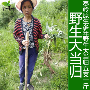 包邮 甘肃岷县纯野生当归特级无硫天然大当归一斤5个500克 可切片粉