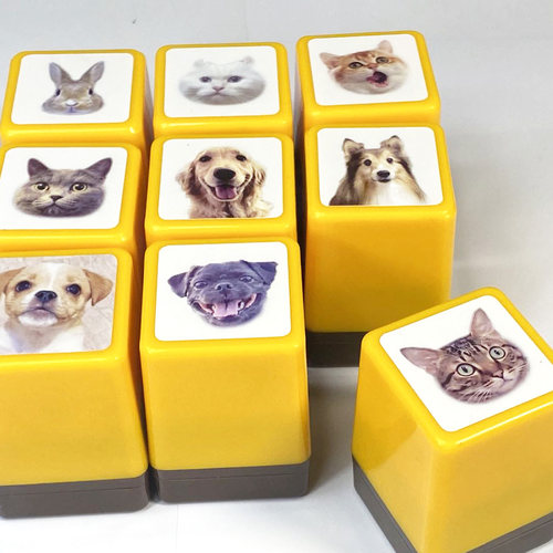 高级难度人像宠物印章猫咪