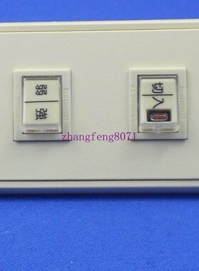 日本松下电工National电源带指示灯开关 双联开关 一板二开关