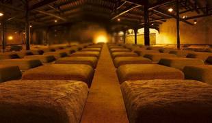 酒窖测温系统 无线温度探杆监测 曲房温度监控