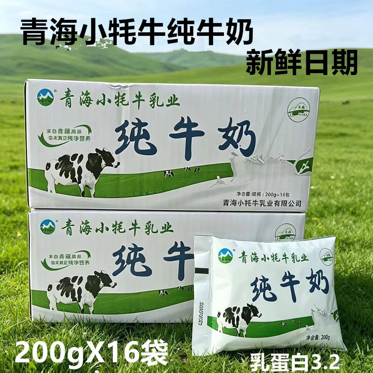 青海小牦牛 纯牛奶  生牛乳早餐纯牛奶整箱批发