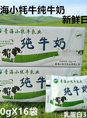 青海小牦牛纯牛奶3.2g蛋白16袋