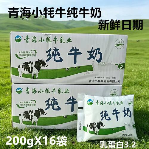 青海小牦牛纯牛奶3.2g蛋白16袋
