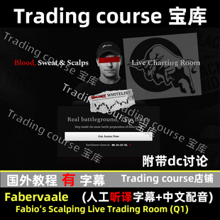 Fabio Scalping Live Trading Room (Q1) 人工字幕翻译+中文配音