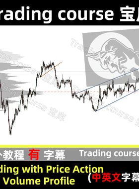 Trading with Price Action and Volume Profile 中英文字幕