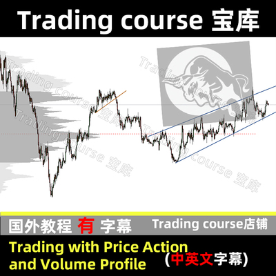 Trading with Price Action and Volume Profile 中英文字幕