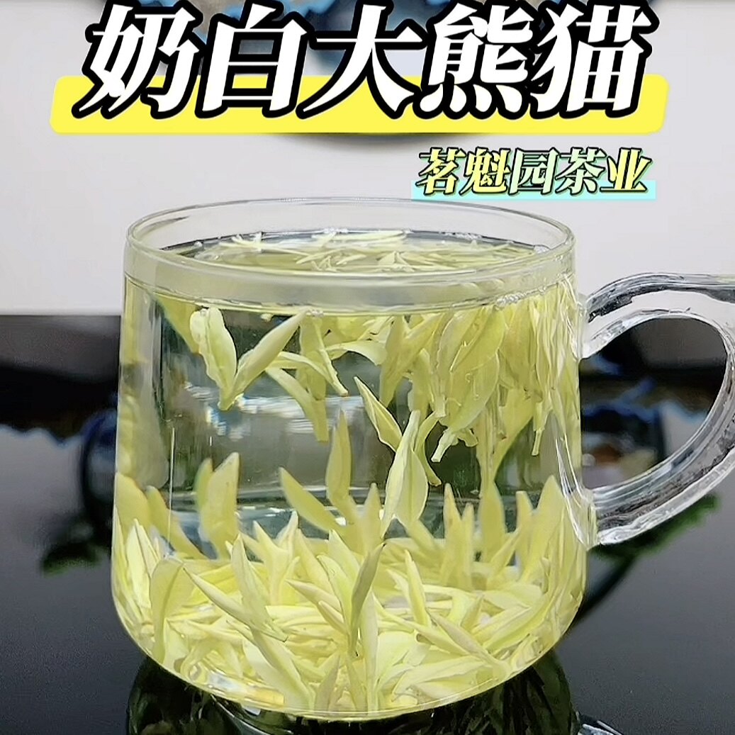 2026新茶奶白茶茶叶 黄金芽茶白茶安吉 明前特级绿茶白叶一号散装