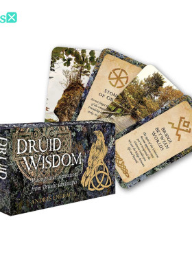 【现货】进口正版 德鲁伊智慧神谕卡 Druid Wisdom
