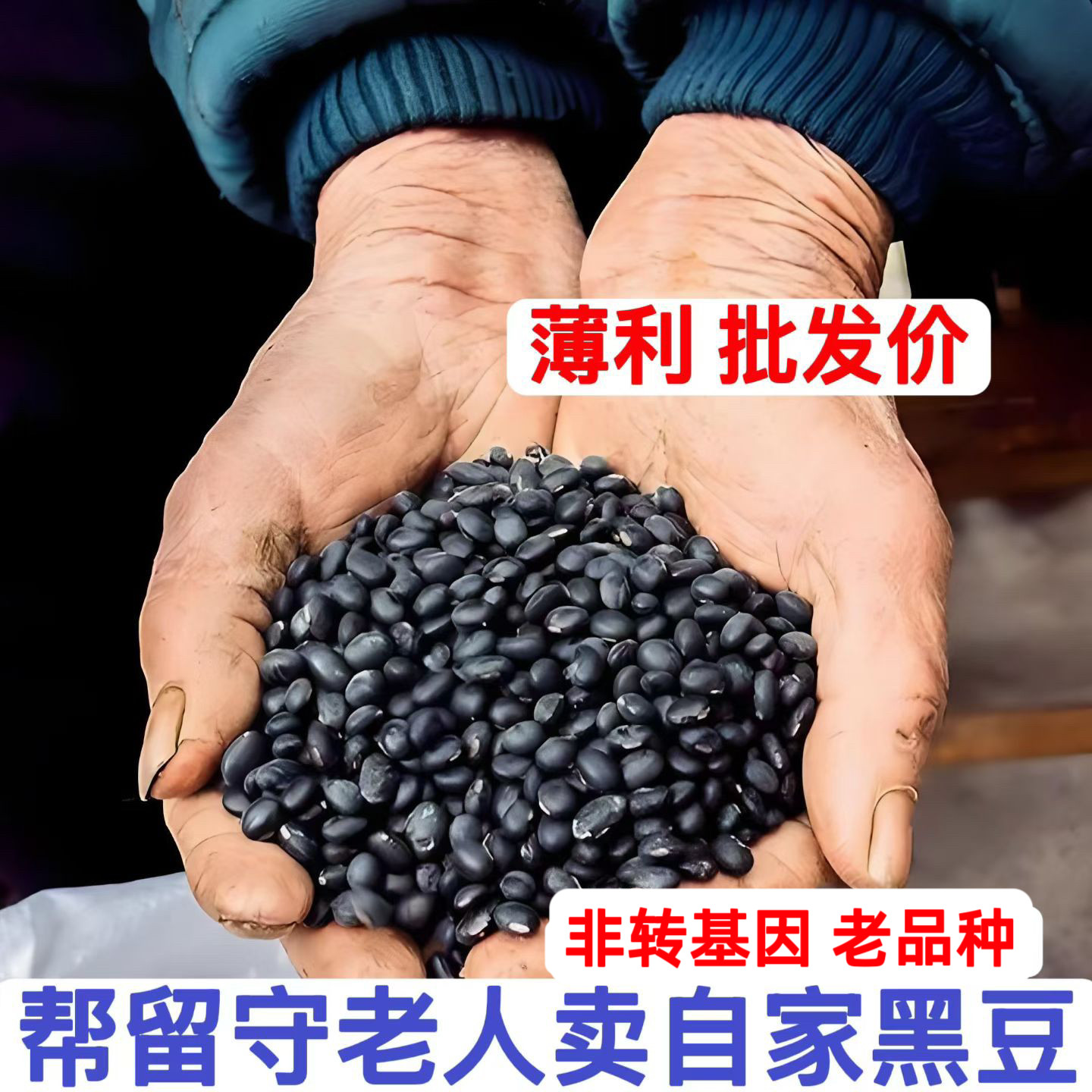 云南深山野生老品种黑豆 非转基因 可留种