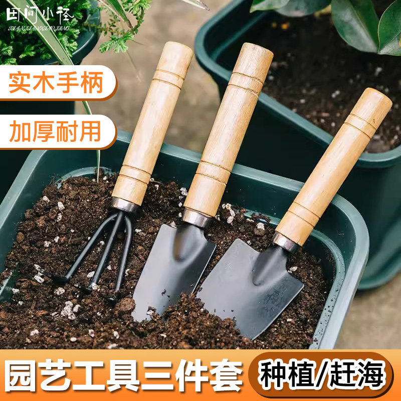 种花工具家用赶海工具套装种菜栽花多肉铲松土耙子铁锹园艺小铲子