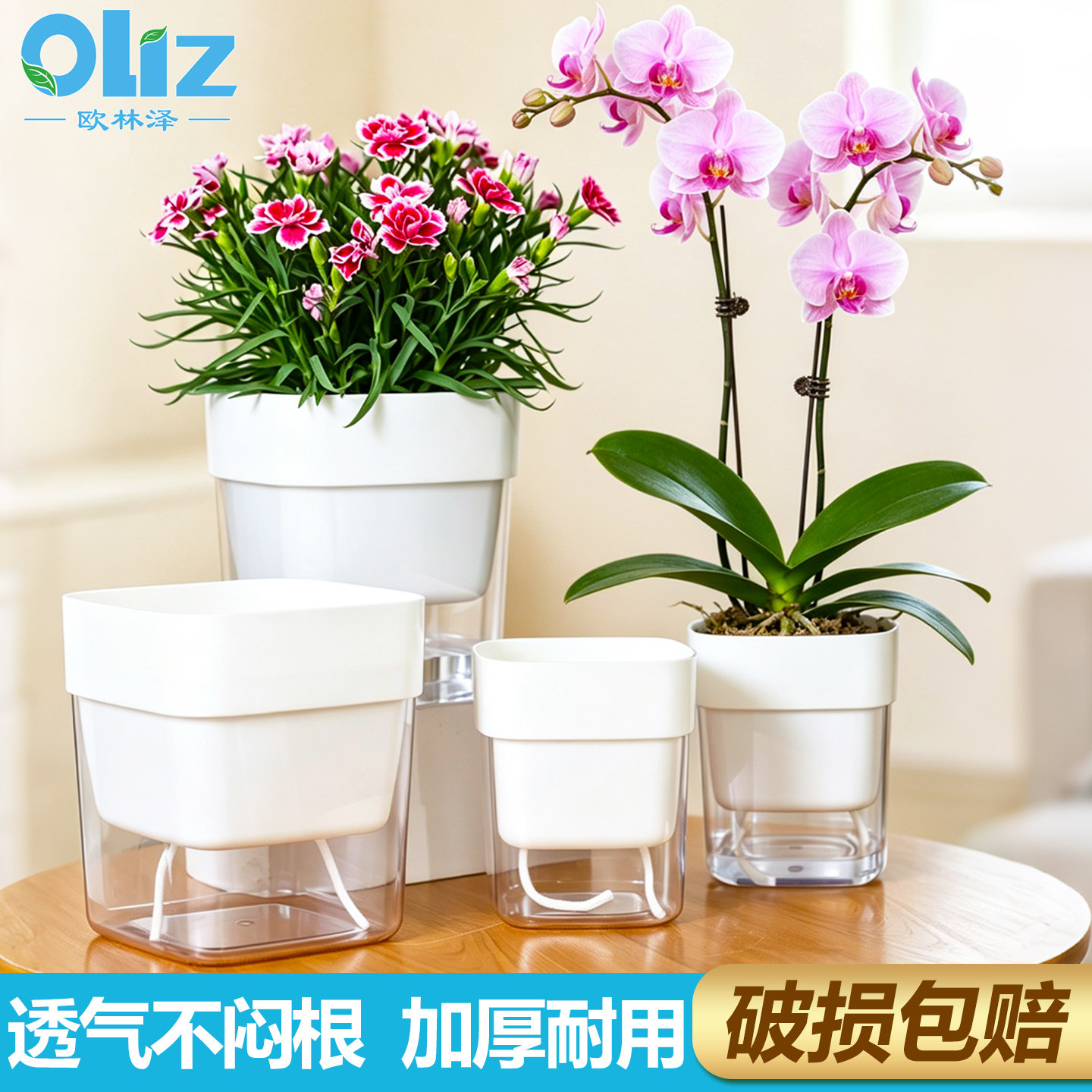自吸水懒人花盆水培植物器皿水养绿萝专用盆吸水盆塑料花盆栽大号图片