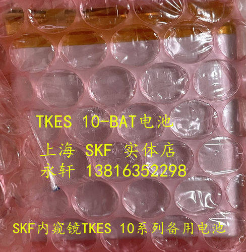 SKF内窥镜TKES10S检测仪