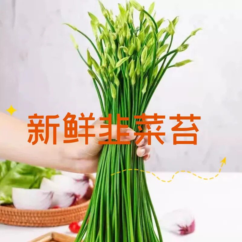 云南新鲜蒜台韭菜苔自家种植农家蔬菜当季脆嫩鲜甜绿色蔬菜