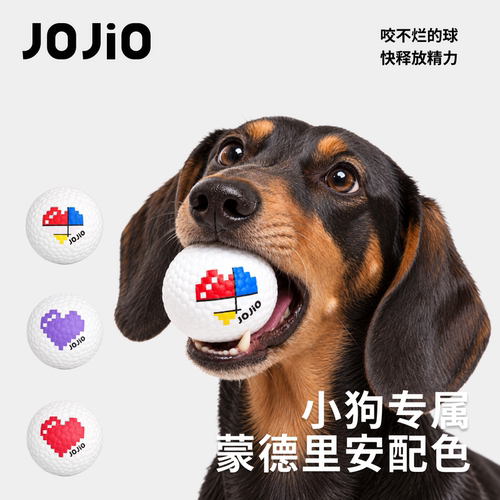 30天咬坏换新蒙德里安球