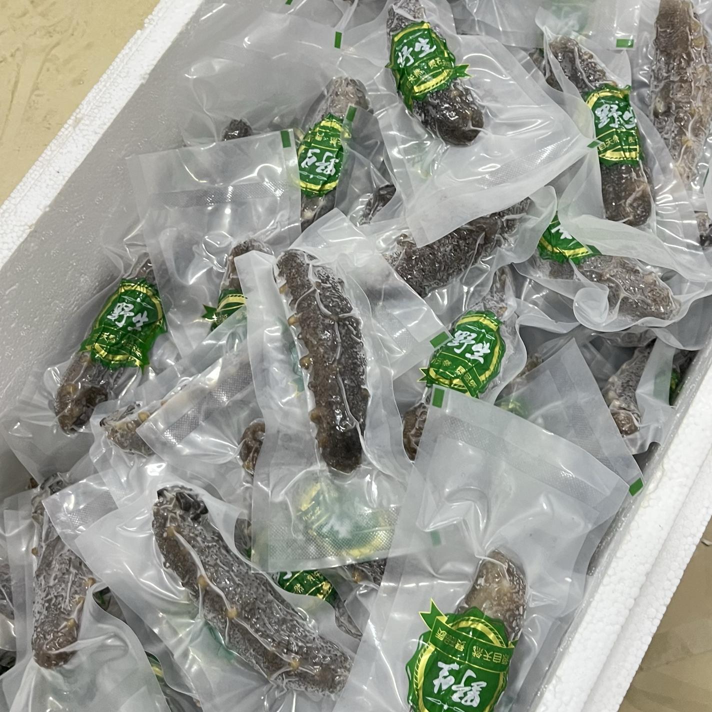 日照野生海参即食海参 1鲜海参代加工发即食顺丰发货