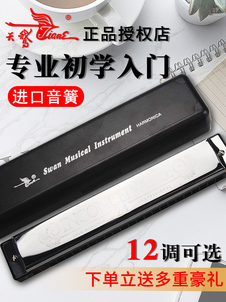 天鹅口琴初学者学生24孔入门儿童复音成人专业重音C调口风琴乐器