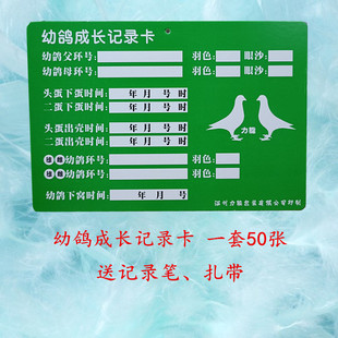直系一套鸽子养殖表册用品具幼鸽成长记录卡配对登记信鸽记录本牌