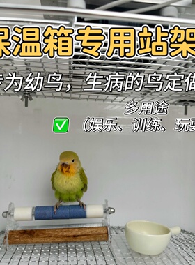 鹦鹉保温箱三角架站架训练玄凤牡丹虎皮磨砂站杆定点排便鸟站架台