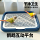 鹦鹉玩耍互动平台小型适用厕所双层设计防外溅防踩屎尿盆