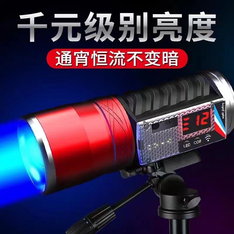 夜钓灯钓鱼灯超亮蓝白紫黄光手电筒驱蚊氙气强光大功率钓台钓装