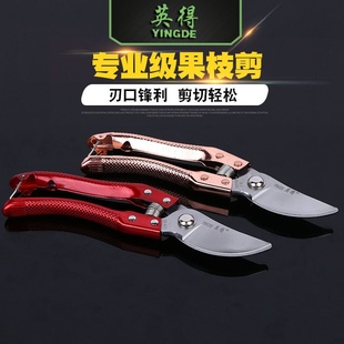 园林剪刀果树剪Pruning Shears专业级果枝剪鸟嘴园林修枝剪果树剪