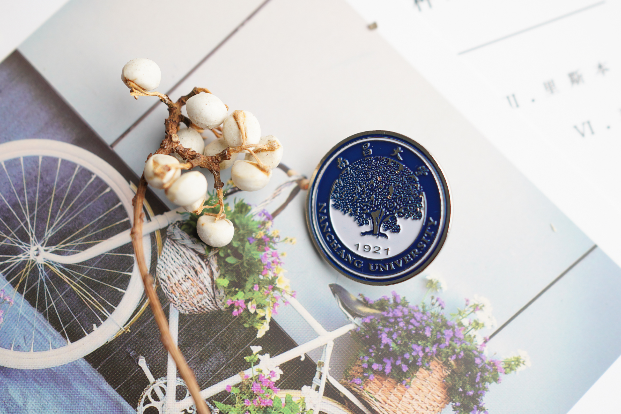 南昌大学校徽 南昌大学徽章 南昌大学纪念品