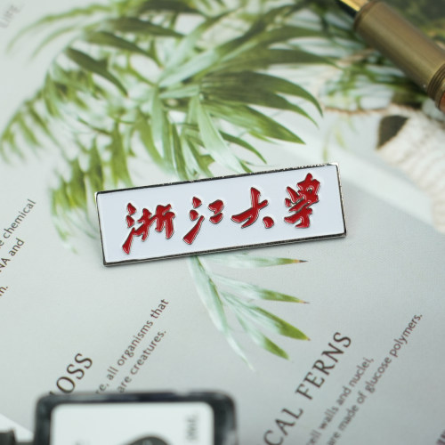 浙江校徽浙大徽章纪念品