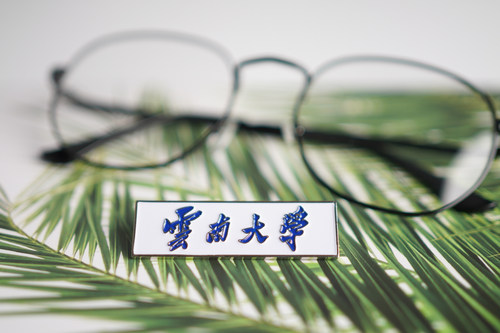 云南大学校徽徽章纪念品