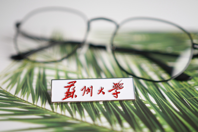 苏州大学徽章纪念品校徽