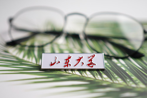 山东大学徽章纪念品校徽