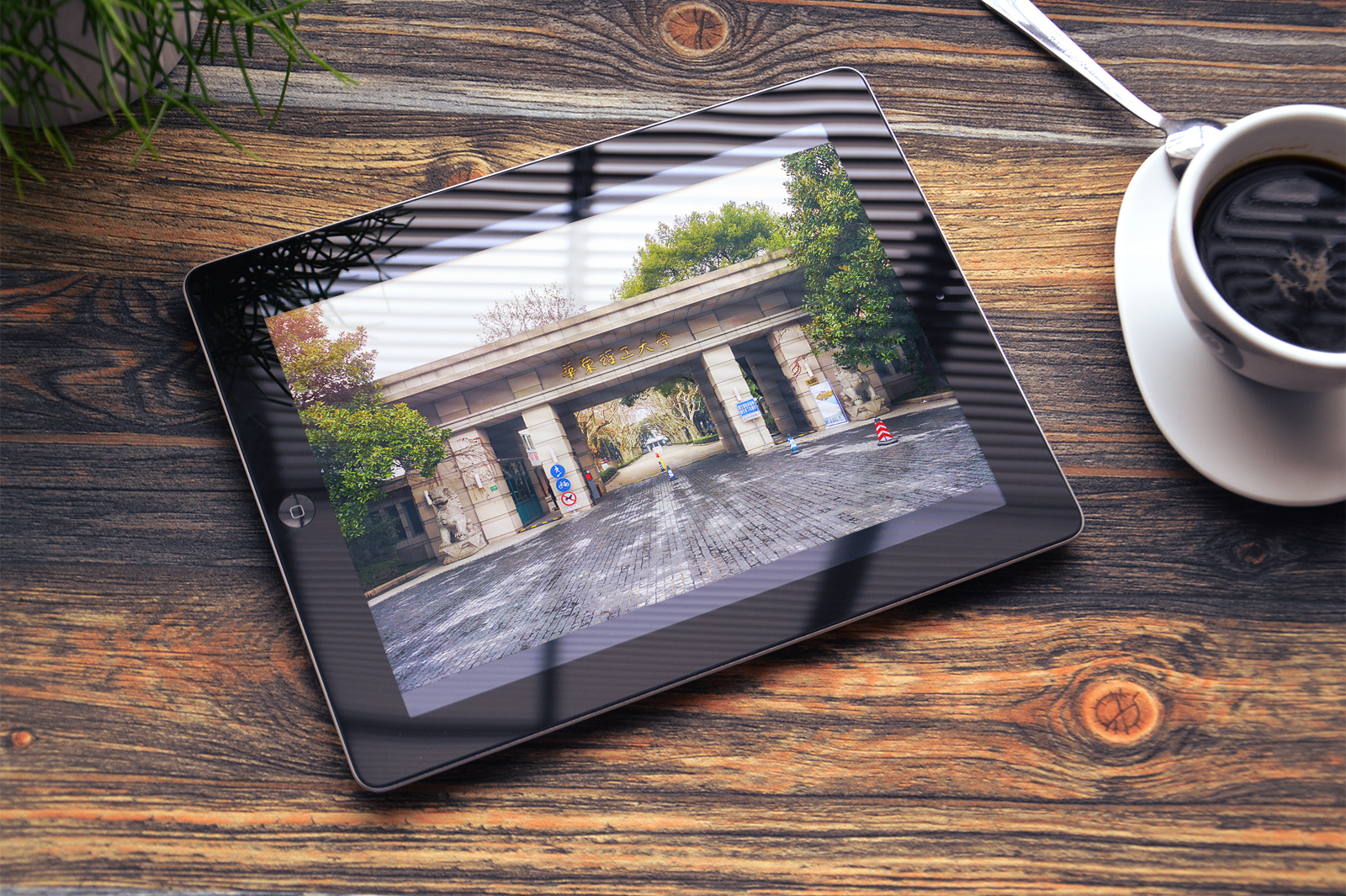 华东理工大学电子版照片  虚拟产品 华东理工大学手机电脑壁纸