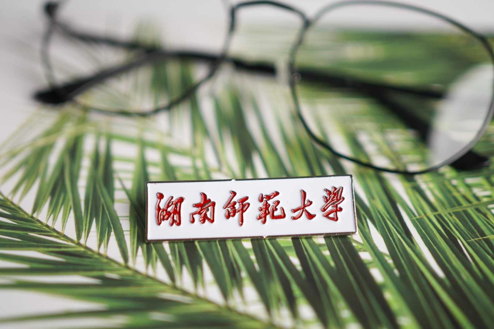 湖南师范大学校徽湖师大校徽湖南师范大学徽章湖南师范大学纪念品