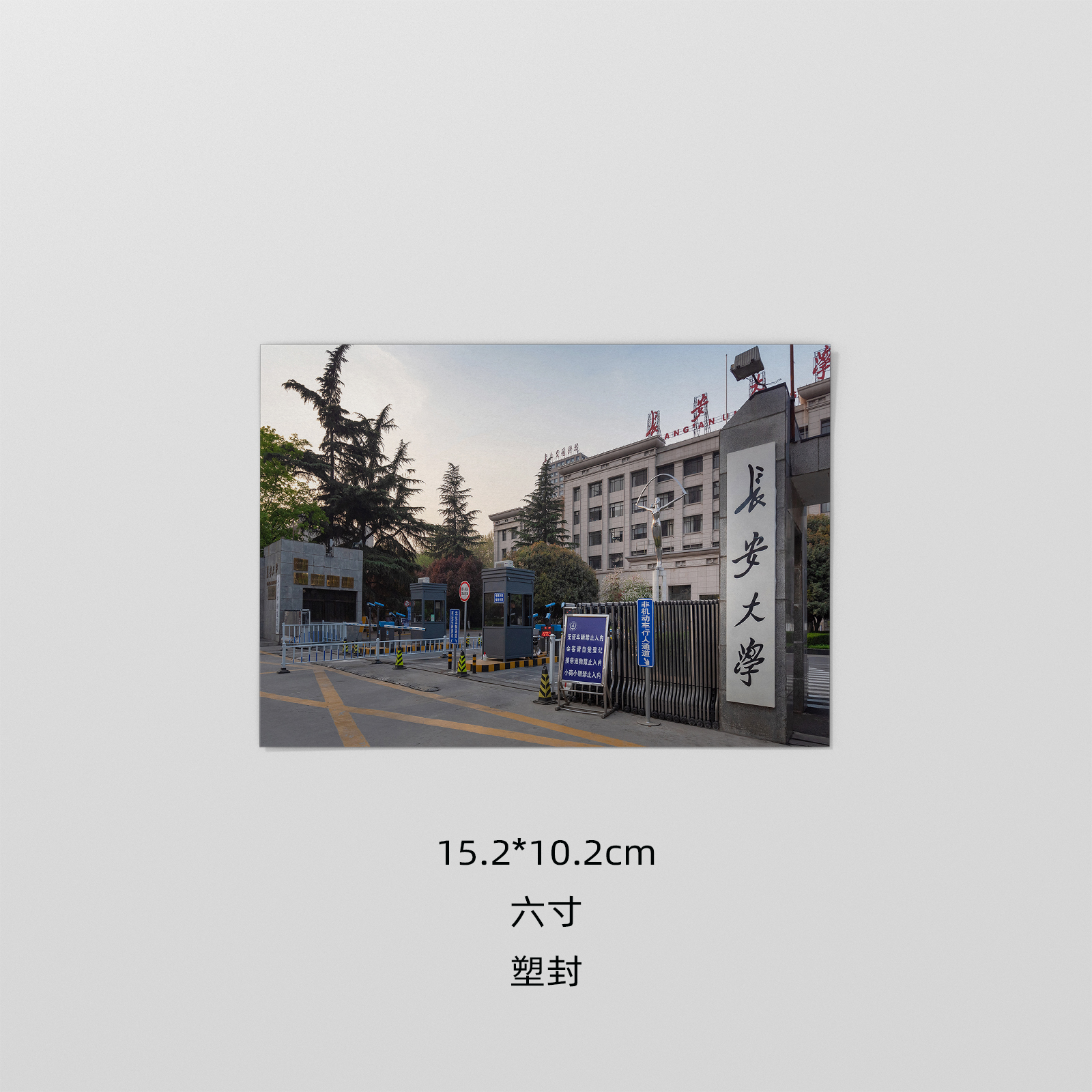 长安大学照片 长大照片 长安大学塑封照相片