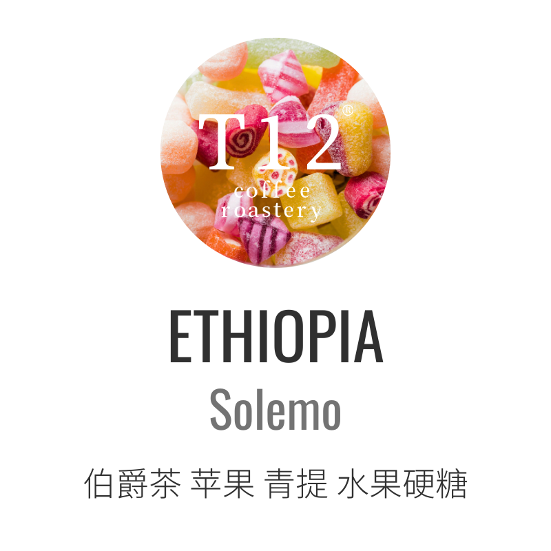 T12埃塞索罗门浅烘水洗咖啡豆
