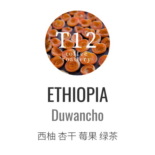 T12朵望丘新产季水洗精品咖啡豆