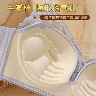 手掌聚拢杯 小杯型 无钢圈性感小胸文胸2588 3厘米中厚杯