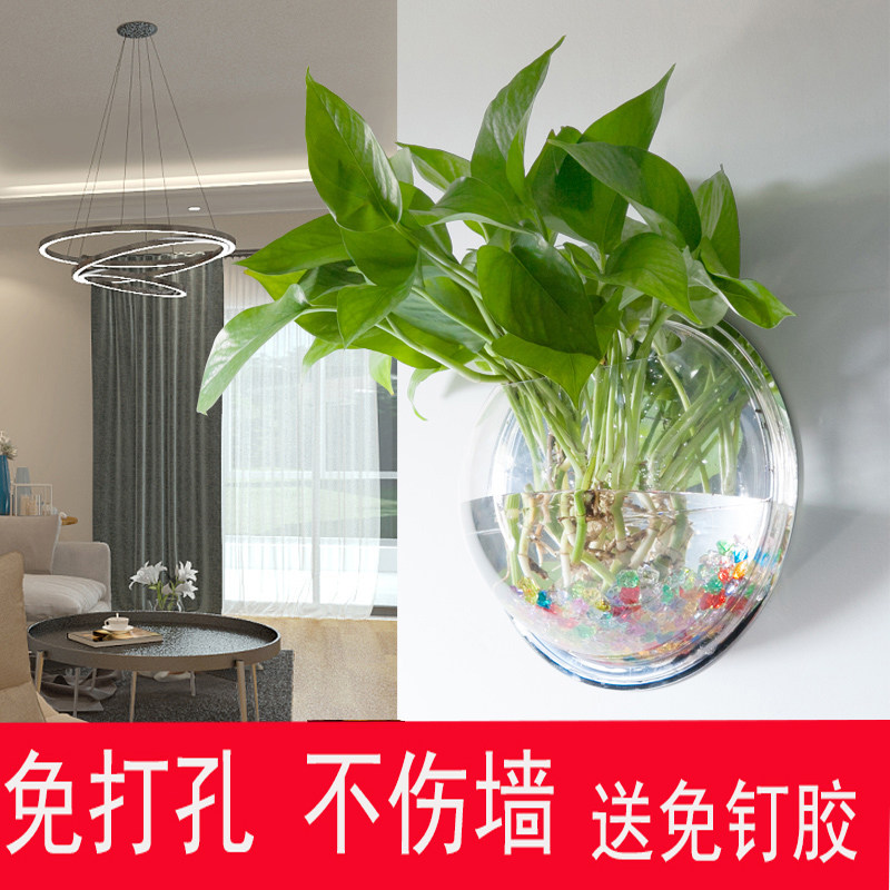 水培吊兰花瓶价格 水培吊兰花瓶图片 星期三