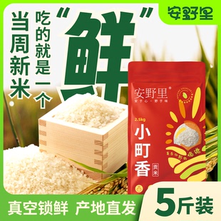 【小町香】当季东北新米珍珠米5斤