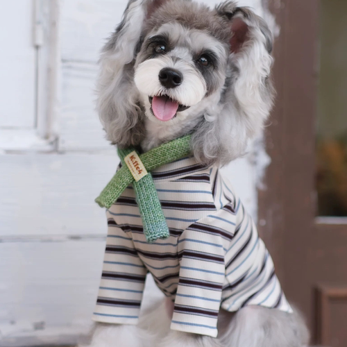 No1104打底衫长袖弹力亲肤纯棉