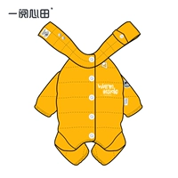 Orange (Bun Belly) - это всего лишь сокровище в сокровище мужского пола нельзя носить