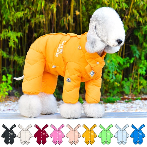 Читая сердечную одежду для собак в четыре фута вниз по куртке