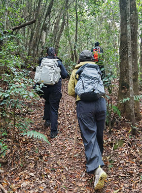 云南腾冲探秘高黎贡山徒步窜龙线轻徒步高黎贡荒野厨房户外徒步