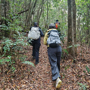 云南腾冲探秘高黎贡山徒步窜龙线轻徒步高黎贡荒野厨房户外徒步